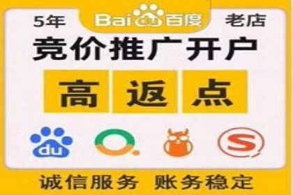 某SEM主管的跨平台广告投放策略与成果